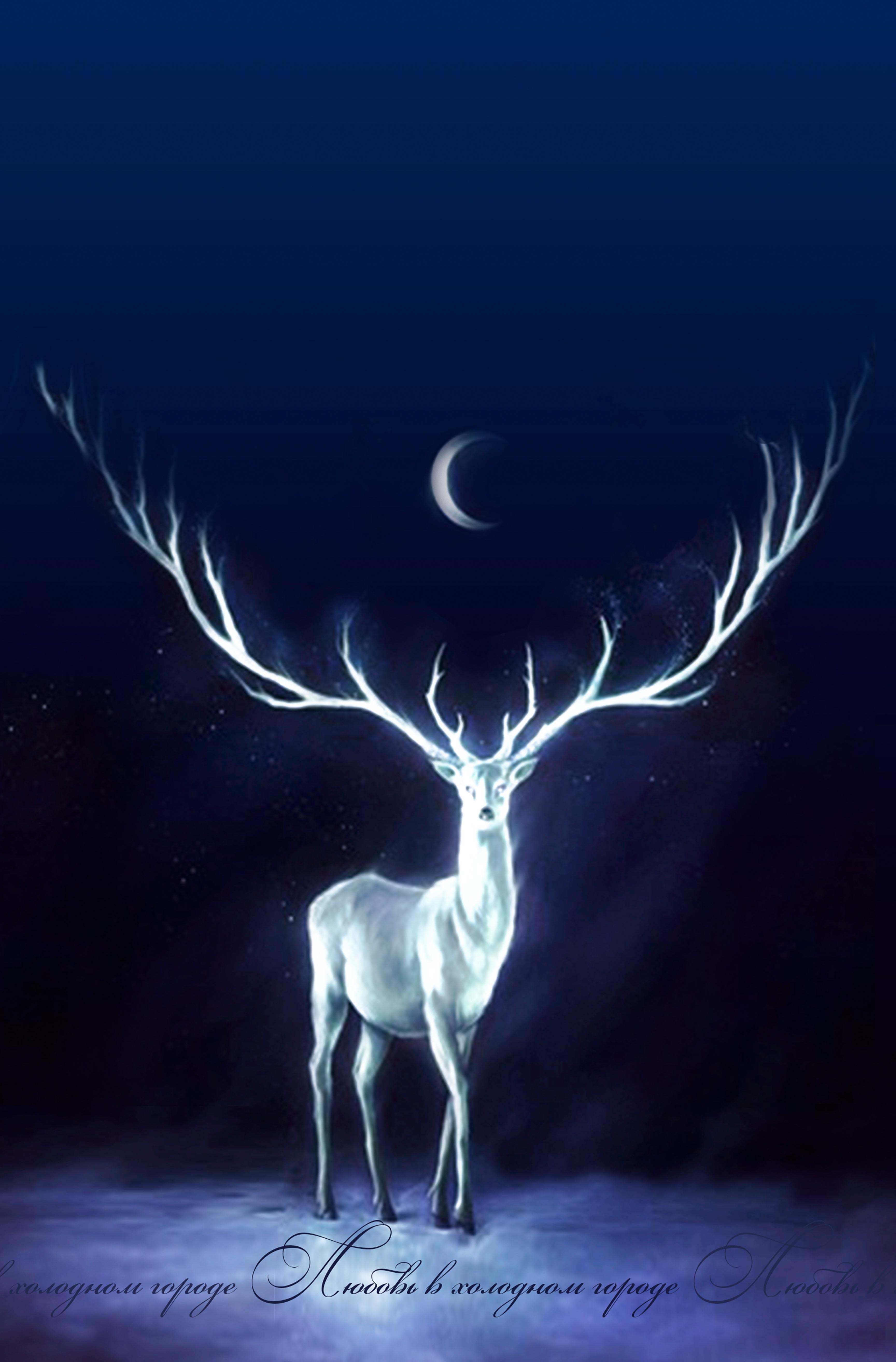 Folk Deer album Cover